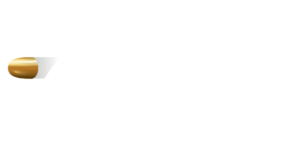 Clube de Tiro 300